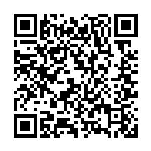 本欲把那金黄宝珠抓摄过来的师丝桐闻言不由一顿二维码生成
