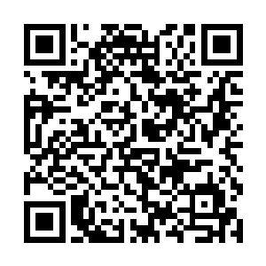 本王怎么没看出来这个女人哪儿比的上本王的王妃了二维码生成