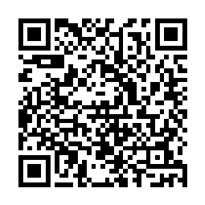 本王若是追根究底还让外人觉得我定王府没有待客之道二维码生成