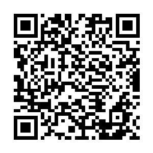 本王这便带吴教主探查龙宫世界各处灵物生长之处如何二维码生成