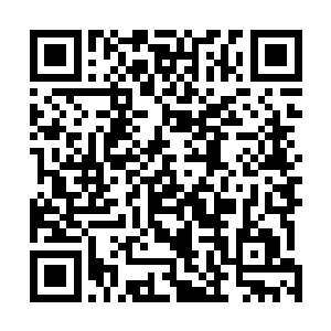 本王这里有点往年从各处人族遗迹之地收集来的一些东西二维码生成