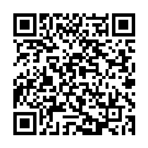 本相教她在这苏国公府里面可以由着自己的心情做事二维码生成