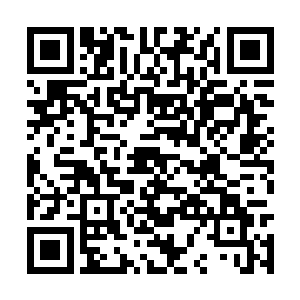 本该一触碰火就燃起来的纸质此刻怎么也燃不起来二维码生成