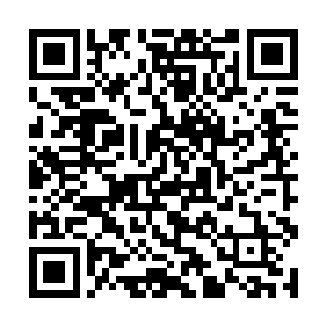 本身仙力的质量要比他这个刚刚进入伪仙界的人更高二维码生成
