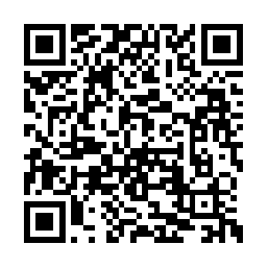 本身的力量就不弱于混沌白莲下位古神初期强者二维码生成