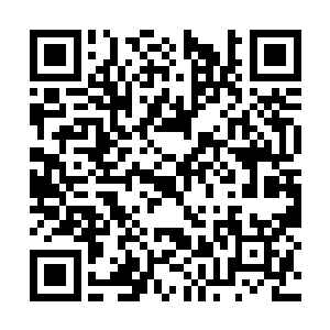 本阁中的任何人都有资格或者说机会成为五王之一二维码生成