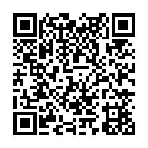 朱家众人不约而同望向主位上神态有些笑意的老祖二维码生成
