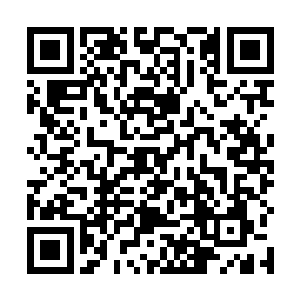 朱家家主已然从最开始的义愤填膺变成了温顺的小绵羊二维码生成