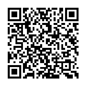 朱平安一脸无奈的看着大伯朱守仁以及众位同乡二维码生成