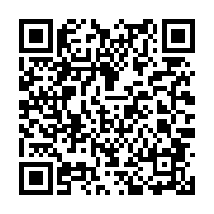 朱平安嘴角的伤痕是要为了救自己咬断海带留下的二维码生成