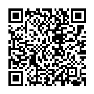 朱平安弹劾的这个赵大膺就是嘉靖帝颁布的赏格的第一批受益人二维码生成