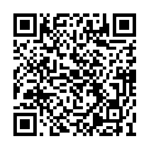 朱晋岩的可怜样子让朱国旭的心一下又软了下拉二维码生成