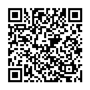 朱木神王当然是想韩风尽快带着朱旋离开朱雀一族二维码生成