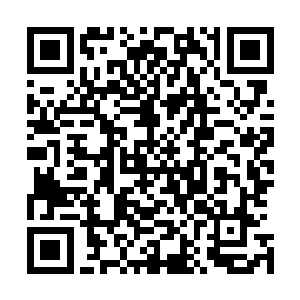 朱某在这里还是要先祝贺下两位道友早日突破化神进阶炼虚二维码生成