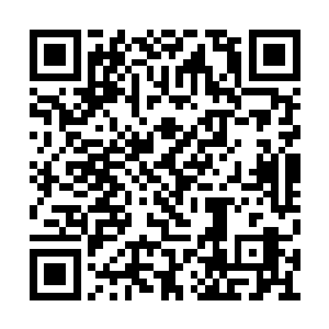 朱洛指着四周的漆黑如夜的城市与更远处的原野二维码生成