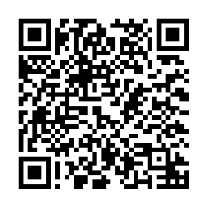 朱翎雨和朱翎雪已习惯季泽爵这种做什么事情前的提醒二维码生成