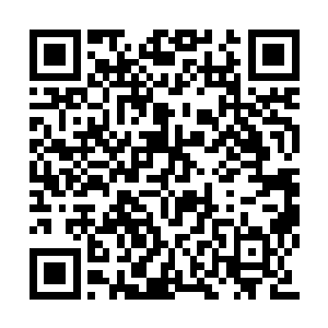 朱老太太便命丫环们带着赵长宁在院子里玩儿了二维码生成