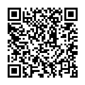 朱运的裂玉爪与傲翅虎的玄天重剑竟是只斩出一圈震荡光华二维码生成