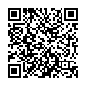 朱雀飞舟从那个直通地元界的幽深隧道之中一下子喷了出来二维码生成