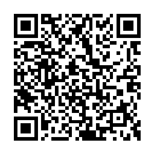 朵朵白中泛紫的花朵缀在其间的兰花漂浮了上来二维码生成