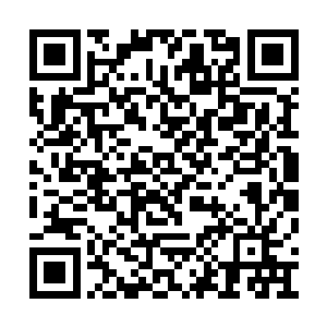 朵菲很想现在就转身离开这个该死的野蛮人部落二维码生成