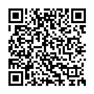 机器人的主人被勒令时刻严格看管自己的机器人二维码生成