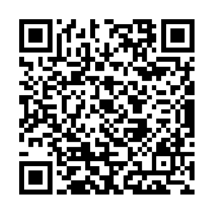 机器人的历史事件的那些不对劲的地方有很好的解释二维码生成