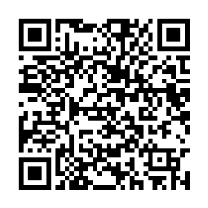 机师已经被后面赶上来的零城人员从里面抬了出来二维码生成