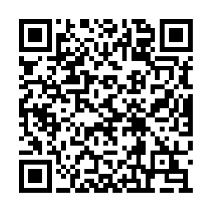 机械蜘蛛和别的奇奇怪怪的智能灵械之间的联系二维码生成