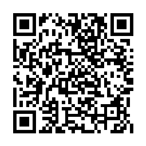 机舱里中间的那个恐怖分子眼看陈小练站了起来二维码生成