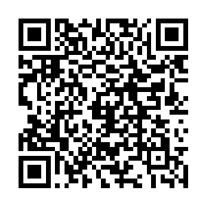 机队地勤们又搞了几架滑翔机打算拿来做旅游项目二维码生成