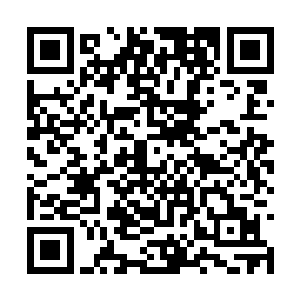 朽木露琪亚清冷的目光之中也浮现出一丝惊叹之色二维码生成