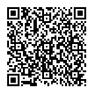 杀了魅业火的凶手··最后却是要一拖一的带着自己外甥去做那本应该去复仇的凶手的护卫二维码生成