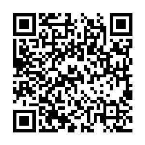 杀人书尚且只有两层的陈诚只能将目光瞄准了下路二维码生成