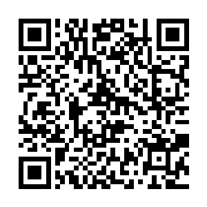 杀手之所以截杀我们是因为他们认为枪哥在我们中间二维码生成