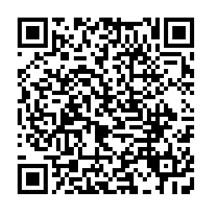 权宝儿纯洁天真的样子让孙子轩下意识的不想让她看到太多社会的阴暗面二维码生成