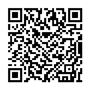 权桓指着前方云雾深处一个巨大的朦胧树影说道二维码生成