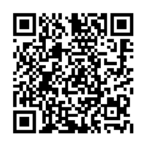 李伟眼神之中满是复杂之色的看了柳清雪一眼后二维码生成