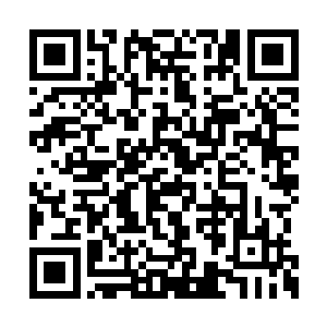 李光洙迫不及待的对着身后的金钟国等人询问着二维码生成