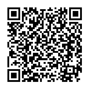 李凤儿下了轿子被几个宫人扶着顺着交泰殿中间的龙凤玉雕缓步上去二维码生成