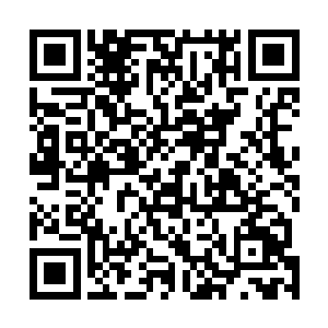 李大可脑子里面想的并不是直接冲上去与那家雀决一死战二维码生成