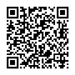 李奇转头望去只见刘云熙独自一人从外面走了进来二维码生成