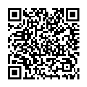 李家当然希望能有自己的直系子弟进去接受培养二维码生成