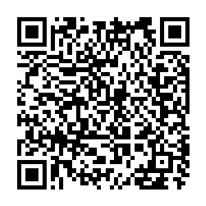 李小梅哪里受到过像陈建国这样的存在于传说中的大人物这么热情的对待二维码生成