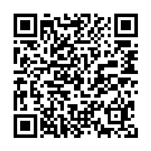 李尔一方面是好奇王铮为什么会这里有如此突破二维码生成