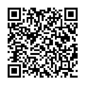 李峰在加入精英班级的第一天就和陈丝雨供奉给硬撼了一场二维码生成