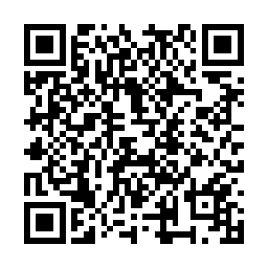 李峰手中的双手重剑狠狠的砍在了火焰巨狼的身上二维码生成