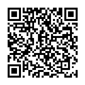 李峰现在以四阶法圣顶峰的修为全力施展的防御魔法二维码生成