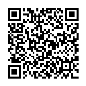 李峰的分身的修为也突破到了六阶法圣和六阶剑圣了二维码生成