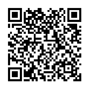 李峰的本体也得利用这难得的机会吸收足够的能量二维码生成